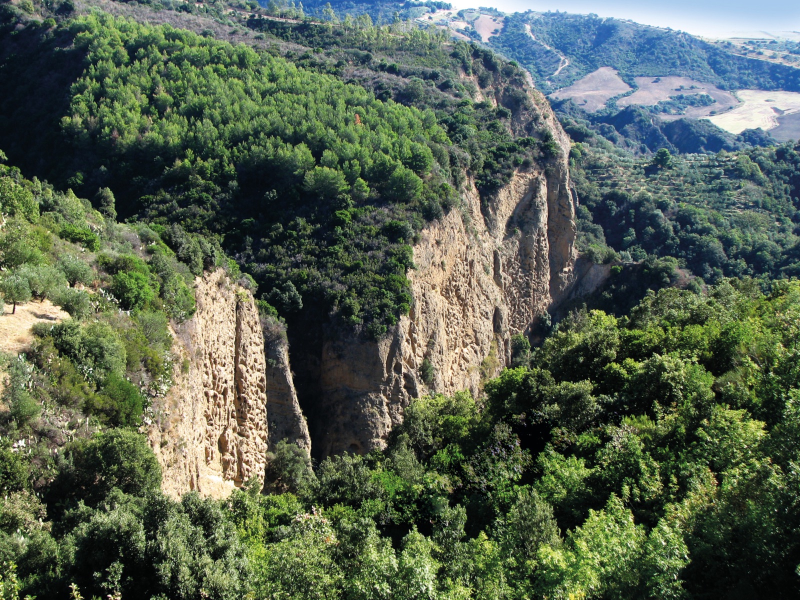 Valli Cupe e Parco della Sila